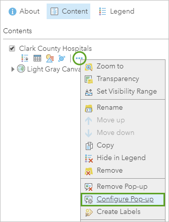 Configure Pop-up selected in the More Options menu for the layer