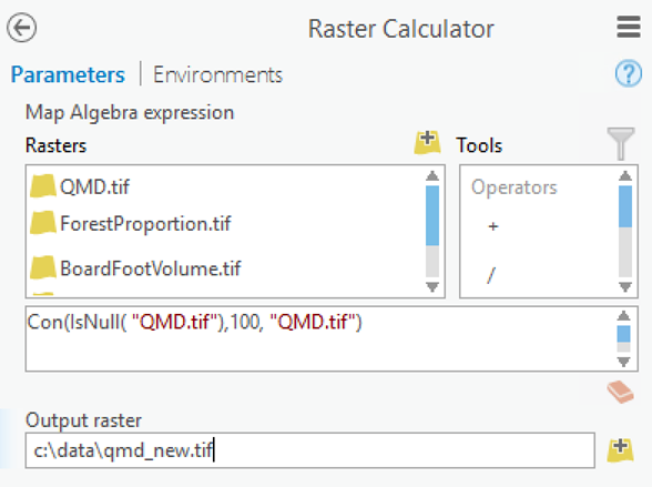 Raster Calculator expression to remove NoData values