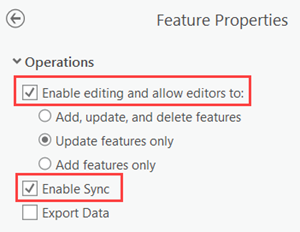 Enable editing and sync on the feature layer.